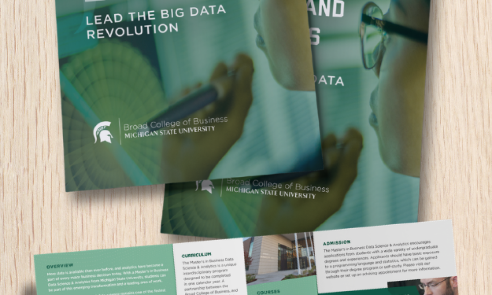 Business Data Science and Analytics Trifold Brochure